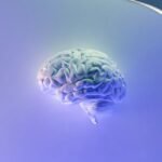 RK - Memahami Bagaimana Cara Otak Belajar dan Penerapannya dalam Pengembangan Bisnis