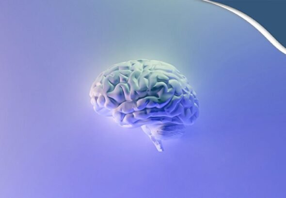 RK - Memahami Bagaimana Cara Otak Belajar dan Penerapannya dalam Pengembangan Bisnis