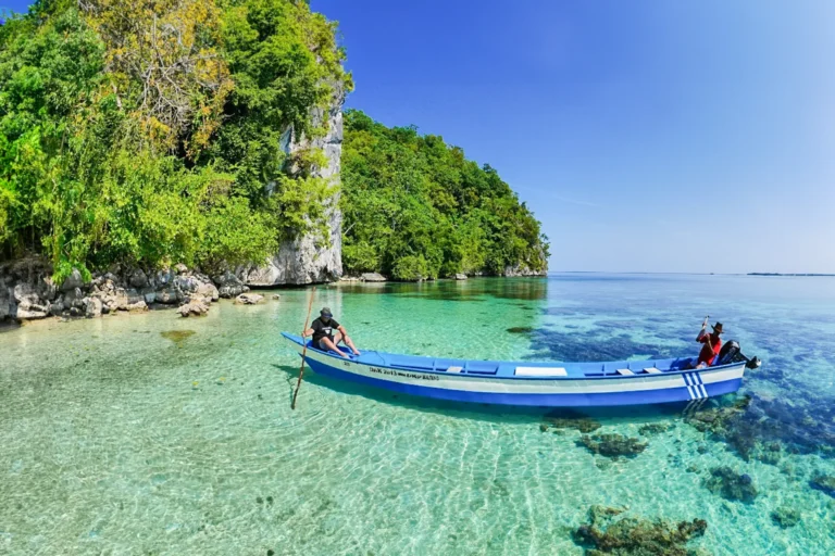 dd9501d4-2528-4219-a75c-79a4af046d20-1705548753965-d91ec5929f44530c6aef0f6c4a9b5529