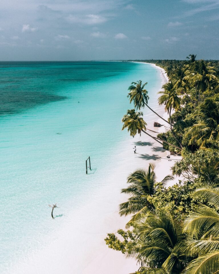 leef-photos-oGUfSH11xOo-unsplash