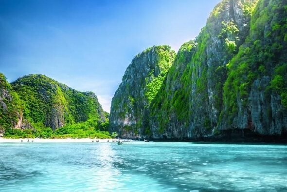 7e877fd2-5ecb-4ac7-b939-7517ef86fafa_169