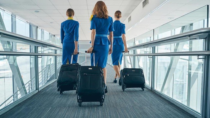 ilustrasi-pramugari_169