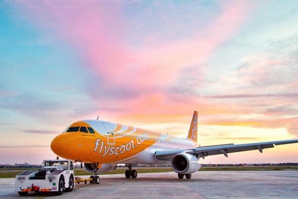 scoot-airlines_169