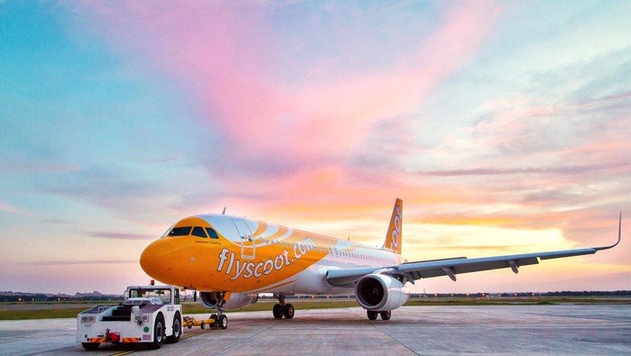 scoot-airlines_169